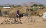 Refugee camp in eastern Chad, bordering Darfur.  
Photo with kind permission of CORD UK
